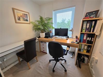 Picture 8